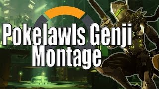 Pokelawls Genji Montage  Overwatch  Beta [upl. by Aisila]