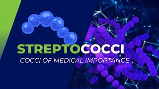 Streptococci of Medical Importance S pyogenes S agalactiae S pneumoniae and others [upl. by Uchida601]