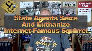 State Agents Seize And Euthanize InternetFamous Squirrel [upl. by Chrisse]