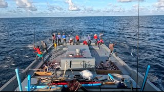 Pole and Line Fishing The EcoFriendly Way to Catch Skipjack Tuna🎣 [upl. by Domingo]