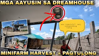 EP356P1 May Nakapondo sa InsulationKisame ng Dreamhouse  Minifarm Harvest [upl. by Bruyn709]