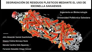 DEGRADACIÓN DE RESIDUOS PLÁSTICOS MEDIANTE EL USO DE IDEONELLA SAKAIENSIS [upl. by Shirlene]