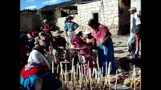 VIENTO HUICHOL  WASA IMARI 2013 [upl. by Nalyk]