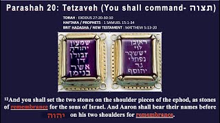 Torah Study  04MAR2023 Tetzaveh  תְּצַוֶּה  quotYou Shall Commandquot [upl. by Armington]