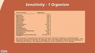 Interpreting a Urine Culture amp Sensitivity [upl. by Muller]