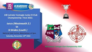 Delvin vs St Brides  AIB Leinster Camogie Junior B Club Championship Final 2022 [upl. by Ennybor]