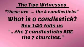 The 2 Witnesses defined by scripture amp they are not Moses Elijah or Enoch [upl. by Lifton868]