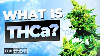 What Is THCa LOOPHOLE Explained [upl. by Koran]