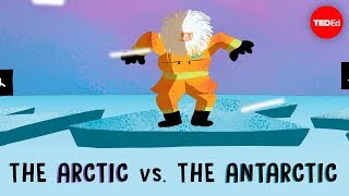 The Arctic vs the Antarctic  Camille Seaman [upl. by Leigh]