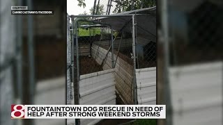 Fountaintown dog rescue damaged by winds in need of help [upl. by Tobiah]