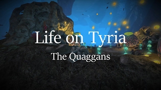 GW2 Lore Life on Tyria 02 The Quaggans [upl. by Elleval]