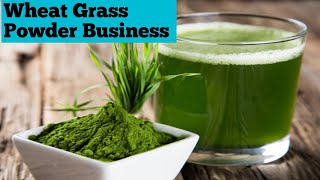 இந்தப் பொடிக்கு இவ்வளவு😱 DEMAND💰 ah❤ Mass🔥 Wheat Grass Powder Business In Tamil Shorts Video [upl. by Ofloda126]