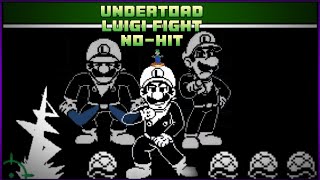 UnderToad Mission Luigi Fight NoHit [upl. by Leslee842]