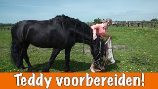 Paard voorbereiden voor wedstrijd DEEL 1  PaardenpraatTV [upl. by Ahselaf669]