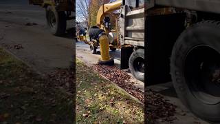 🍁 🍂 Leaf cleaning machine 🇩🇪 Germany shortstamil germanyinformation [upl. by Mcdonald]