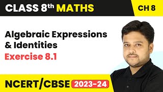 Algebraic Expressions and Identities  Exercise 81  Class 8 Maths Chapter 8 [upl. by Gagnon103]