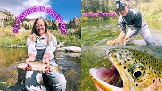 FLY FISHING SOUTH PLATTE RIVER IN COLORADO [upl. by Tolecnal459]