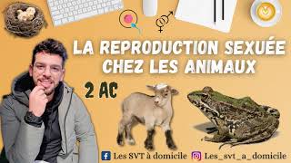 La reproduction chez les animaux  2AC  التوالد عند الحيوانات [upl. by Sonitnatsnoc728]