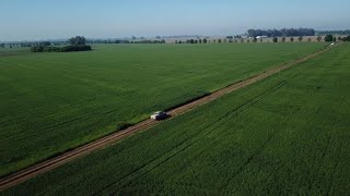 Argentinas farmers are under pressure amid an economic crisis [upl. by Naneek]