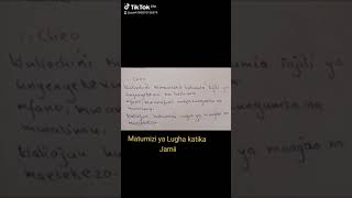 3aiiiVIPENGELE VINAVYOATHIRI MATUMIZI YA LUGHA KATIKA JAMI Isimu Jamii Somo la Kiswahili [upl. by Kynthia889]