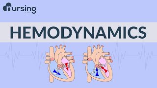 The Basics of Hemodynamics Nursing School Lessons [upl. by Ulland]