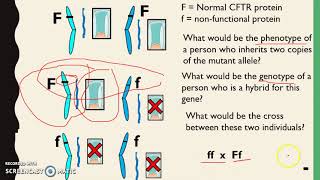 Inherited Disorders  Autosomal dominant vs recessive [upl. by Gabrila]