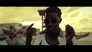 Frace Pierre amp Pikliz Beatz Caribbean Queen Official Music Video [upl. by Llenart]