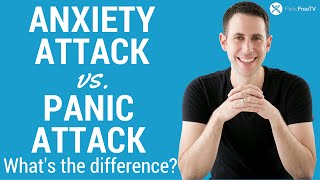 Anxiety Attack vs Panic Attack  Whats The Difference [upl. by Gladdie168]