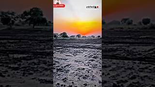 jamidar deshi farming kisani viralshort khetibadi kishanlife village viralvideo viralsong [upl. by Nibaj]