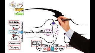 Pharmacology  DRUGS FOR PARKINSONS DISEASE MADE EASY [upl. by Ibbor]