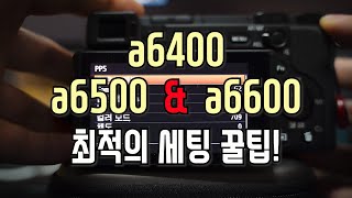 a6000시리즈 소니카메라최적의 세팅을 찾아보자 설정꿀팁 [upl. by Bortman185]