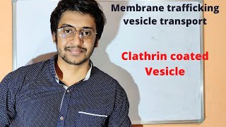 Cell biology  Vesicle transport   clathrin coated vesicle formation [upl. by Pippo]