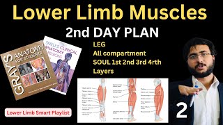 Lower Limb Muscles Anatomy Leg amp Sole Compartments  Complete HNML Lower Limb Guide  Final Part 2 [upl. by Felty]