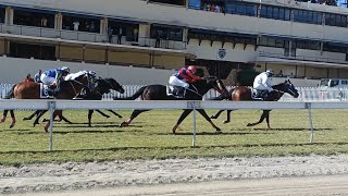 Horse Racing in Mauritius  Turf Club Mauritius [upl. by Lesli]