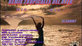 REMIX TROPICALES DEL AYER MIX DJ SAMMY [upl. by Akerue147]