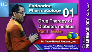 Endocrine Pharmacology Ar  01  Diabetes mellitus  Part 1 Insulin [upl. by Lach121]