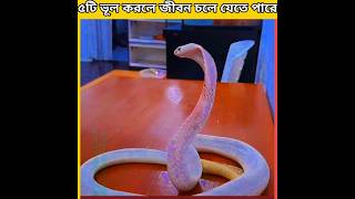 ৫টি ভূল করলে জীবন চলে যেতে পারেfacts monitaization islamicvideo monitazation [upl. by Refinnaej218]