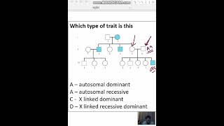 Which type of trait is this A – autosomal dominant B – autosomal recessiveC  X linked dominant [upl. by Jennie]