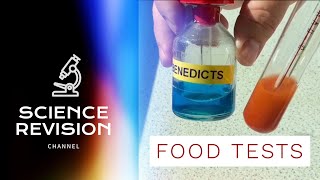 GCSE Science Biology 91  Food Tests  Required Practical [upl. by Rosol819]