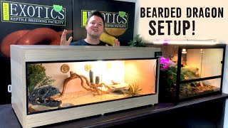 BEARDED DRAGON SETUP FOR BEGINNERS [upl. by Ardussi]