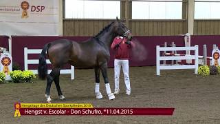 Escolar  Don Schufro 2015 [upl. by Letnuhs383]