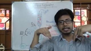 Flow Cytometry [upl. by Barnett]