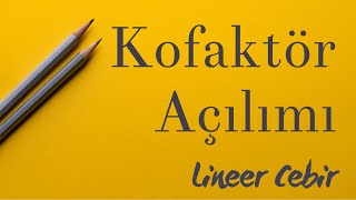 Lineer Cebir ❖ Kofaktör Açılımı ile Determinant Bulma ❖ [upl. by Attaynik]