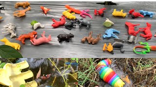 farm animals  rainbowcolored animals [upl. by Alaric]