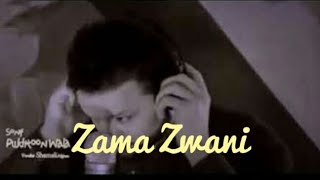 Shamali Afghan Zama zwani dawol kawi  Tribute to Danyal Anwar [upl. by Nitsuj]