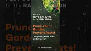 Pest Control Tips for Rainy Season  Day 7 pestcontrol rain pestmanagement garden [upl. by Akirdnas326]