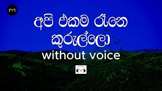 Api Ekama Rane Kurullo Karaoke without voice අපි එකම රෑනෙ කුරුල්ලෝ [upl. by Netsirhc]