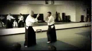 Boaz Aikido Arm Deflections for Modern Attacks [upl. by Eibot502]