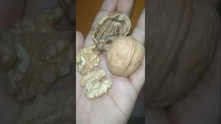 Walnut Akhrot It helps to improve your skin [upl. by Yunick]