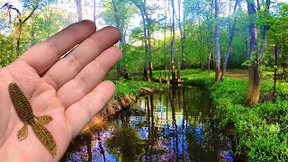 THESE Fishing Lures Are ABSOLUTELY IRRESISTIBLE In Creeks [upl. by Ninehc]